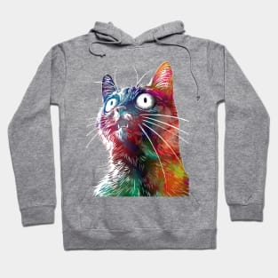 Funny cat 2 Hoodie